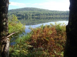 General view of Spectacle Pond #1