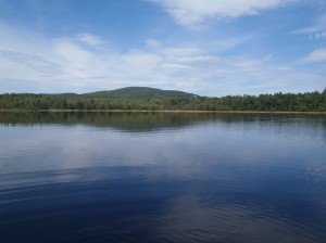 General view of Proctor Pond