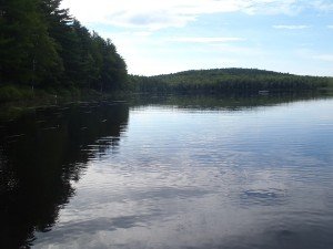 Another view down Webber Pond