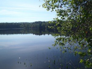 Another view of Crystal Pond