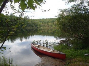 View of Bradley Pond from the public access point 