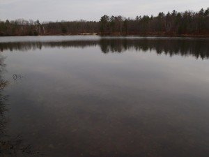 General view of Otter Pond #2