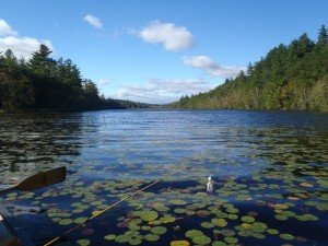 South Pond is gorgeous and remote, and yet quite accessible