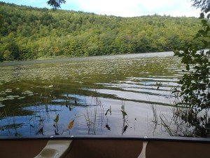 View of Mud Pond from the rough boat launch