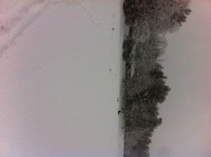 General view of Otter Pond #4
