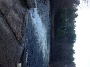 View of Panther Run from the dam