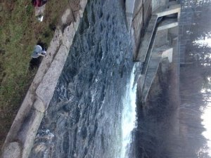 The brook trout honey hole on Panther Run