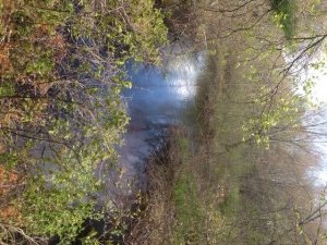 Willett Brook below Route 117