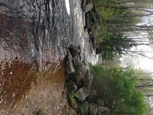 Willett Brook below Sunset Park