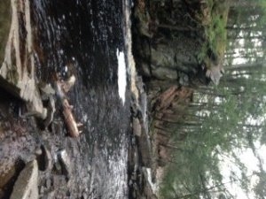 A gorgeous pool on the Merriland River next to a rocky cliff