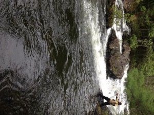There's got to be trout living in this beautiful habitat!