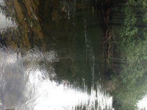 A nice stretch of deep, quiet water on Pierce Pond Stream