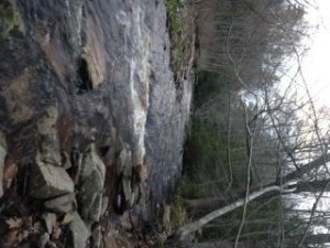 The Merriland River below Collins Road has many riffles and runs