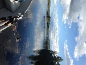 An unusually windless afternoon on Upper Pierce Pond...