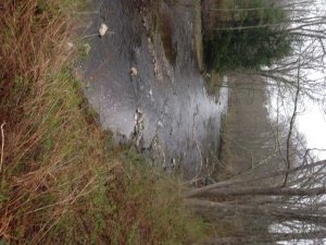 A long, lazy stretch of the Kennebunk River below Route 1