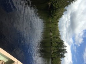 The shoreline of Dixon Pond is completely forested. 