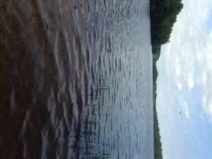 General view of Otter Pond from the launch area