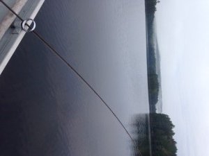 Upper Pierce Pond all to myself during my early-morning troll