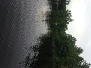 View of the shoreline in the Upper Basin