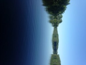 General view if Dundee Pond: calm, serene, and all to ourselves!