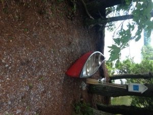 The access point on Island Pond only accommodates hand-carried craft