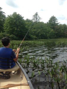 Good largemouth bass habitat can be found along the southern shore of Big Clemons Pond