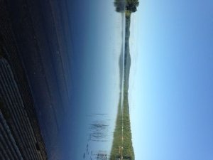 View of Hancock Pond from the boat launch
