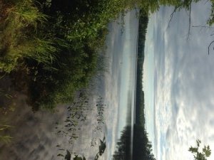 General view of Island Pond 
