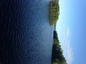 View of Sand Pond 