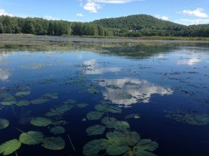 General view of Black Pond. She's a real beauty!