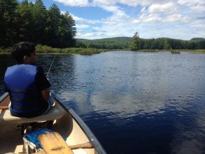 A long shoreline, many small islands, shallow water and plenty of aquatic vegetation = largemouth bass heaven!