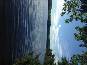 View down the western shoreline of Island Pond