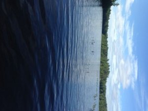 View down the eastern shoreline with the island in the background
