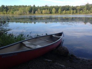 View of Ingalls Pond from the access point