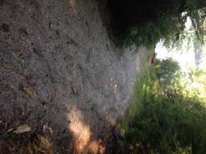 The access point to Granger Pond is sandy and steek
