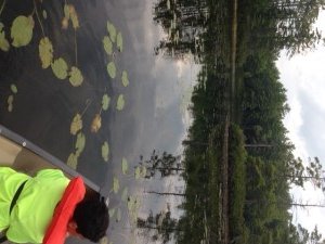 Good largemouth bass habitat is found among the shallows, the aquatic vegetation and the islands