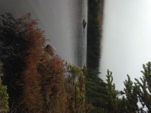 Whidden Pond #1 has native brook trout but no canoe to get to them