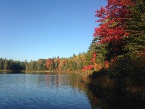 The northern shoreline of High Pond illuminated by the rising sun