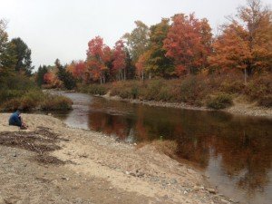 A wadable but COLD stream with perfect fall colors along its banks