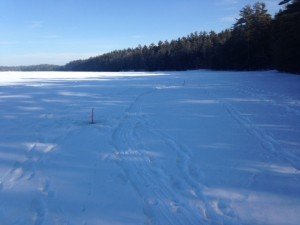 The inshore tip-ups are hiding in the shadow line