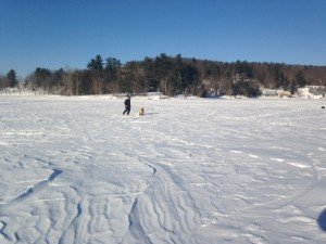 View of Martin Point from the ice