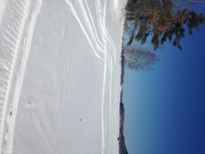 Cold but pretty!