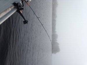 Fog does a great job keeping the light levels low