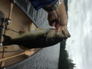 This one finally took pitty on me...