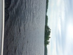 The waters off these beautiful islands by Sebago Lake State Park contain lake trout