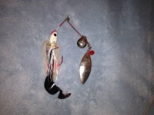 A spinner bait with a large willow-leaf blade and a smaller Colorado blade