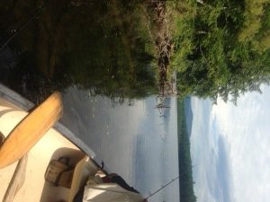 I caught a small pickerel and Christian hooked but lost a largemouth bass in this wood