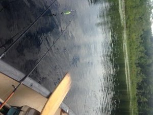 The real largemouth bass habitat is located at the northern end of the pond