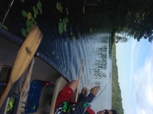 Here's an example of the type of aquatic vegetation along the eastern shoreline of No Name Pond. Notice that we're fishing in the shadows.