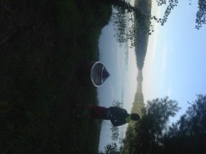 A pretty view of No Name Pond from the access point off No Name Pond Road